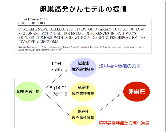 腫瘍研究室 島根大学医学部附属病院 産科婦人科